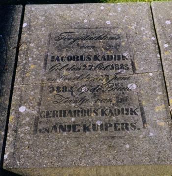 Breede 3-IV Jacobus Kadijk